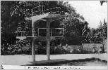 Miliana : La piscine