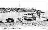 Tipasa : Plage