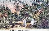 Tlemcen : Minaret Agadir