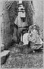 Casbah : rue Klber
