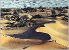 Sahara