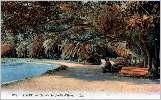 Jardin d'Essai : bassin