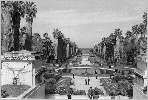 jardin d'essai