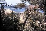 Jardin d'Essai : vue