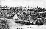 Le port