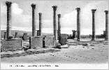 Timgad : forum