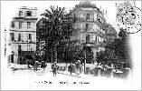 Le palmier