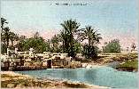 Barrage dans l'oasis