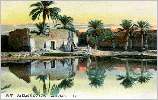 Dans l'oasis