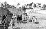 Laghouat : le march arabe